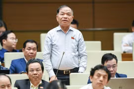 Đại biểu Quốc hội: Tổng Thanh tra Chính phủ chỉ đạo thanh tra đột xuất các vụ việc tham nhũng ra sao?