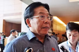 Phó Chủ tịch VUSTA nói về việc có nên tạm dừng hoạt động VINASTAS