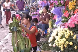 Thị trường hoa tươi ngày 20-10 tăng giá mạnh