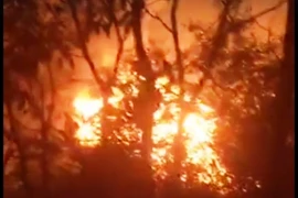 Tạm giữ đối tượng gây cháy xưởng trong rừng tràm