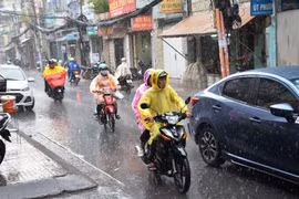 "Cơn mưa vàng" giải nhiệt oi bức ở TP. Hồ Chí Minh