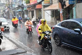 "Cơn mưa vàng" giải nhiệt oi bức ở TP. Hồ Chí Minh