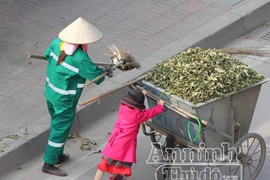 Xúc động hình ảnh em bé đi quét rác cùng mẹ trong ngày Tết