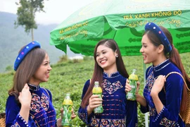 Tại sao trà xanh ngày càng được lòng bạn trẻ?