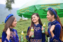 Tại sao trà xanh ngày càng được lòng bạn trẻ?