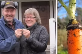 Những chuyện tình cờ, khó tin nhưng có thật