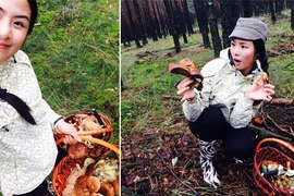 Theo chân Hoa hậu Ngọc Hân đi hái nấm tại rừng Carpat - Slovakia