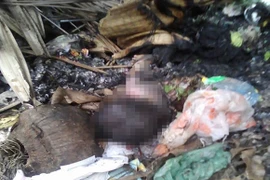 Thương tâm cháu bé sơ sinh tử vong, bị mẹ ruột đốt phi tang