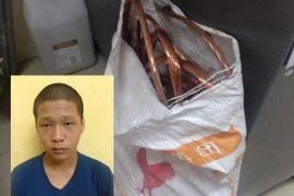 Thủ phạm những vụ cắt trộm dây điện trạm biến áp