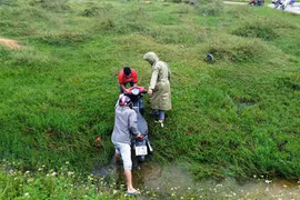 Lao xuống mương nước bên đường, người đàn ông tử vong