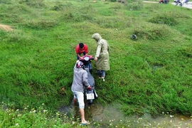 Lao xuống mương nước bên đường, người đàn ông tử vong