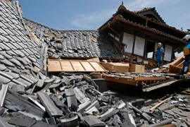 Ý tưởng xây nhà chống thiên tai từ... vỏ dừa