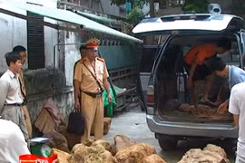 Thu giữ hơn 1 tấn gỗ quý lậu vận chuyển từ Việt Trì về Hà Nội