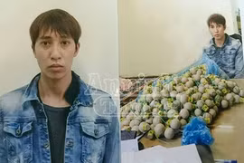 Cố tuồn hàng trăm quả pháo "lựu đạn" về Hà Nội thì bị bắt