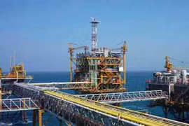 Vietsovpetro chậm nộp khoảng 2.000 tỷ đồng tiền thuế