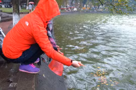 Người Hà Nội đội mưa lạnh thả cá chép tiễn ông Công, ông Táo