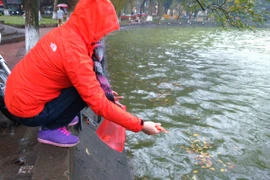 Người Hà Nội đội mưa lạnh thả cá chép tiễn ông Công, ông Táo