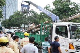 Đường phố Hà Nội một ngày sau giông lốc kinh hoàng