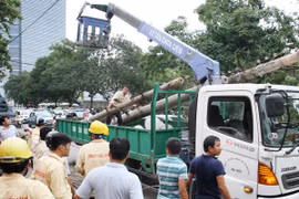 Đường phố Hà Nội một ngày sau giông lốc kinh hoàng