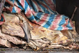 Bắt giữ gần 2 tấn mỡ, da trâu bò thối định tuần về Hà Nội tiêu thụ