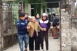 Đi cày, người đàn ông bị trâu nhà húc chết