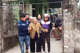 Đi cày, người đàn ông bị trâu nhà húc chết