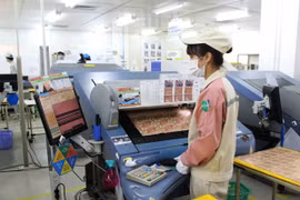 Lộ trình nào đưa Việt Nam thành nước thu nhập trung bình cao?