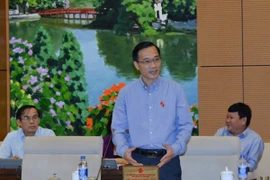 Chạy theo thành tích, nhiều xã nông thôn mới nợ đầm đìa