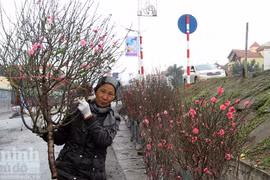 Tết muộn ở chợ hoa Quảng An