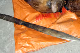 Cảnh sát môi trường tước dao trong tay dân buôn beo lửa