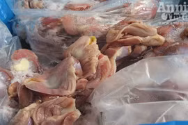 Hàng tạ chân gà, tim lợn "bẩn" suýt chui lọt vào nhà hàng