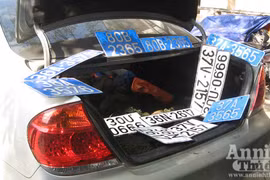 Lái xe 80B, gắn còi ủ, phóng 140km/h vì chở...tê tê lậu