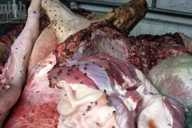 Khiếp sợ lợn tai xanh chết, “hô biến” thành ruốc