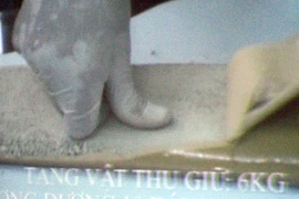 Cảnh sát Việt Nam phá tung mạng lưới ma túy xuyên Châu lục