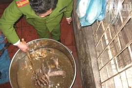 Cận cảnh vụ nấu cao hổ giữa lòng Thủ đô 