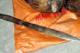 Cảnh sát môi trường tước dao trong tay dân buôn beo lửa