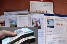 Bắt giữ nguyên Phó Trưởng phòng Bổ trợ tư pháp - Sở Tư pháp Thái Bình