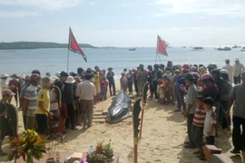 Cá "Ông Nam Hải" nặng 2 tấn dạt vào bờ biển Phú Yên