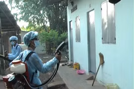 Sẽ xử phạt các tổ chức, cá nhân bất hợp tác phòng chống Zika