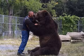 Sửng sốt xem gấu khổng lồ âu yếm con người