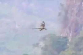 Video rồng bay ở Trung Quốc khiến giới truyền thông 'phát sốt'