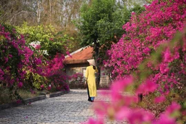 Những điểm đến phù hợp với xu hướng du lịch bền vững trong năm 2025 tại Việt Nam