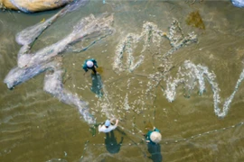 Nghệ An, Thanh Hóa và Ninh Bình bắt tay tổ chức “Hành trình du lịch Xanh”