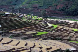 Mùa khắc tạc nấc thang núi trên đỉnh Khau Phạ