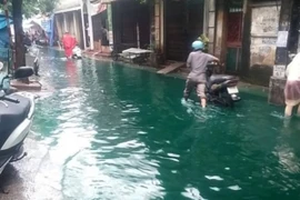 Rõ "thủ phạm" gây biến đổi màu nước ngập trên phố Tam Trinh