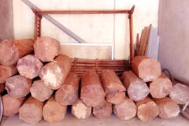 Được tặng 1,2m3 gỗ nghiến không rõ nguồn gốc?