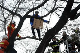 Trèo lên cây rao bán thận