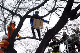 Trèo lên cây rao bán thận