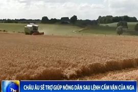Châu Âu sẽ trợ giúp nông dân sau lệnh cấm vận của Nga
