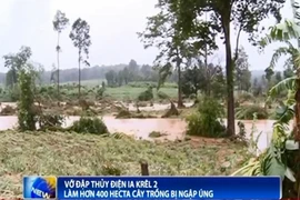 Vỡ đập thủy điện Ia Krêl 2 làm hơn 400 hecta cây trồng bị ngập úng